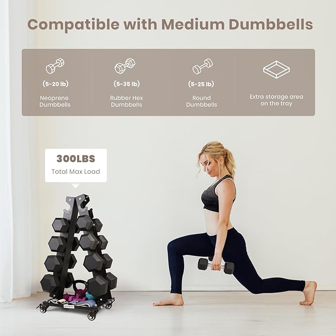 LIONSCOOL Premium Solid Steel Dumbbell Rack Stand Only, A-Frame Portable Weight Storage Organizer