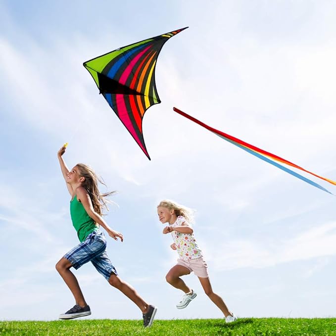Mint's Colorful Life Delta Kite for Kids & Adults, Extremely Easy to Fly Kite, Best Kites for