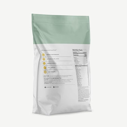 BIG BOLD HEALTH HTB Rejuvenate Superfood Plant-Based Protein Powder ??Himalayan Tartary Buckwheat