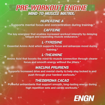 EVL Intense Pre Workout with Creatine - ENGN Energizing Pre Workout for Men Powder Drink for