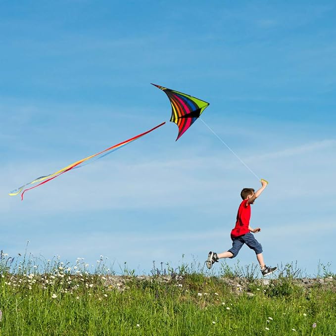 Mint's Colorful Life Delta Kite for Kids & Adults, Extremely Easy to Fly Kite, Best Kites for