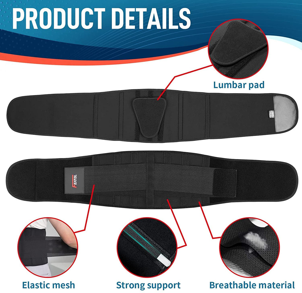 FEATOL Back Brace Support Belt-Lumbar Support Back Brace for Back Pain, Sciatica, Scoliosis