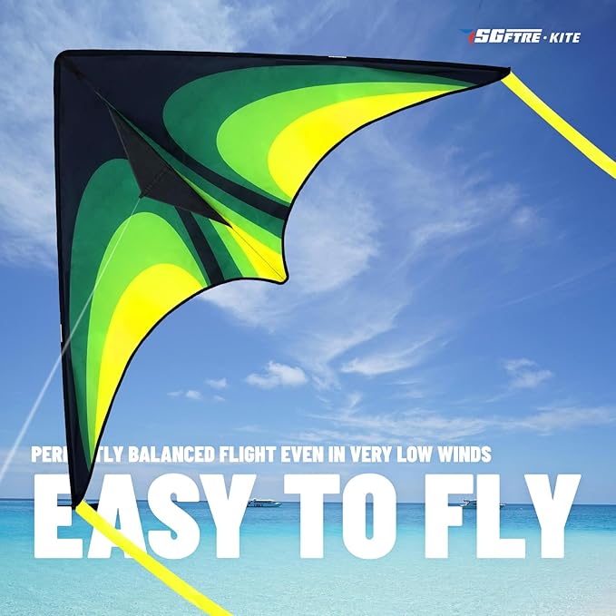 Delta Kite for Kids & Adults，Easy to Fly,Single Line Beach and Park Kite for Family Outdoor Games &