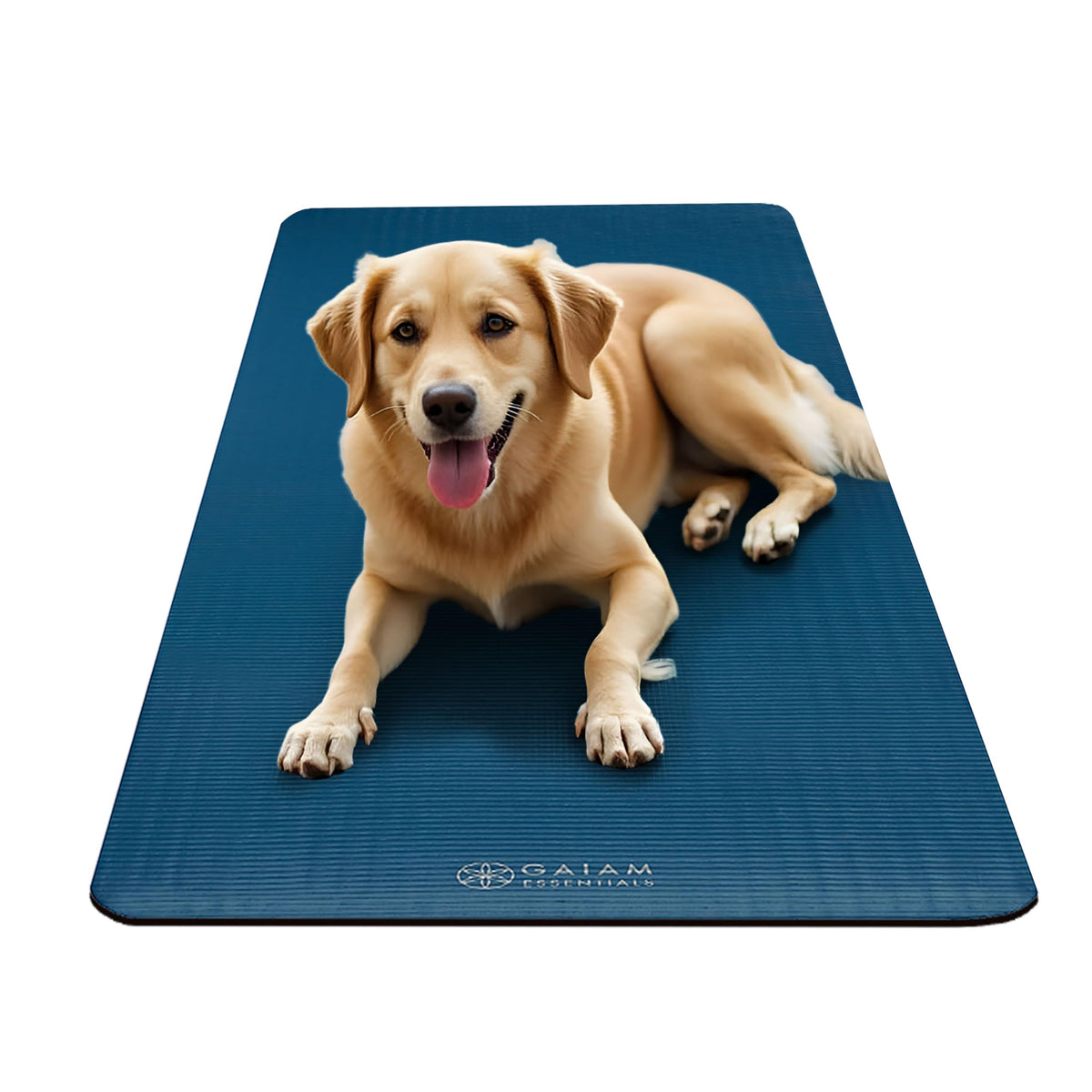 Gaiam Essentials Thick Yoga Mat Fitness & Exercise Mat with Easy-Cinch Carrier Strap, Navy, 72"L X