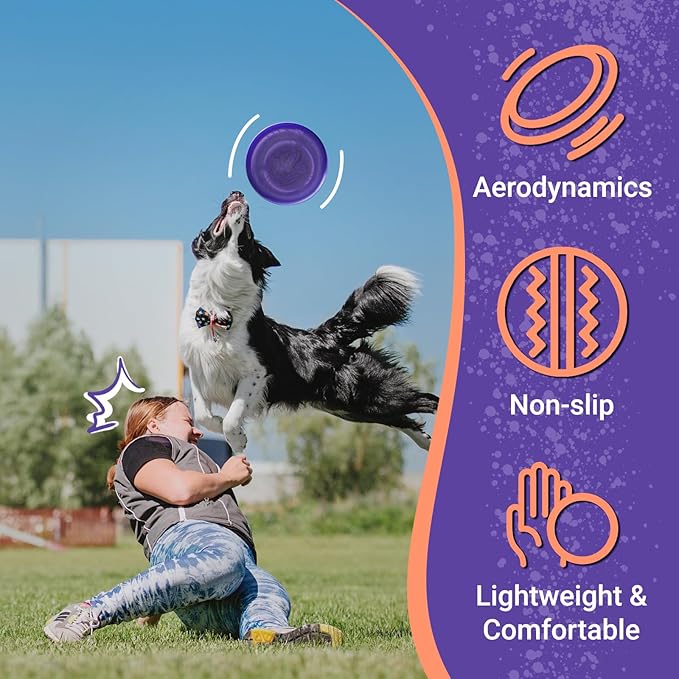 Wham-O Frisbee Go Flying Disc, 9 Inch Lightweight Sports Disc for Beginners Outdoor Beach Backyard