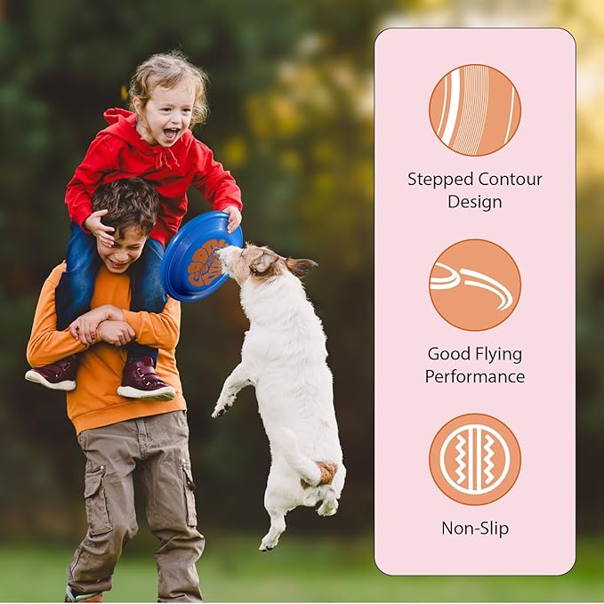 Wham-O Frisbee Fastback Flying Disc, 9.35 Inch Dog-Friendly Lightweight Sports Disc Toy for Outdoor
