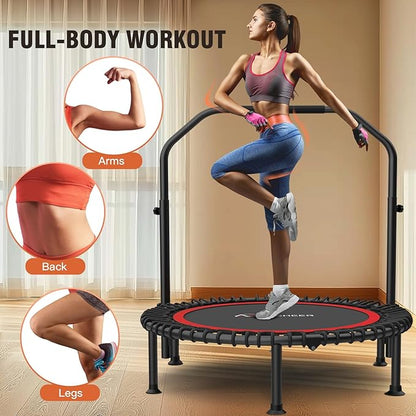 Bungee Rebounder Trampoline,ANCHEER 40" Foldable Fitness Trampoline with 4-Level Adjustable