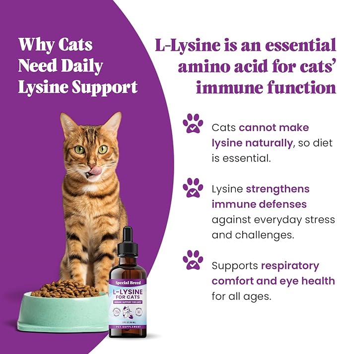 Special Breed L-Lysine for Cats & Kittens ??Immune, Respiratory & Eye Health Support ??Liquid Cat