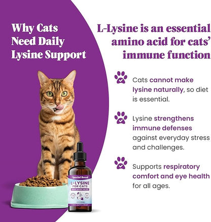 Special Breed L-Lysine for Cats & Kittens ??Immune, Respiratory & Eye Health Support ??Liquid Cat