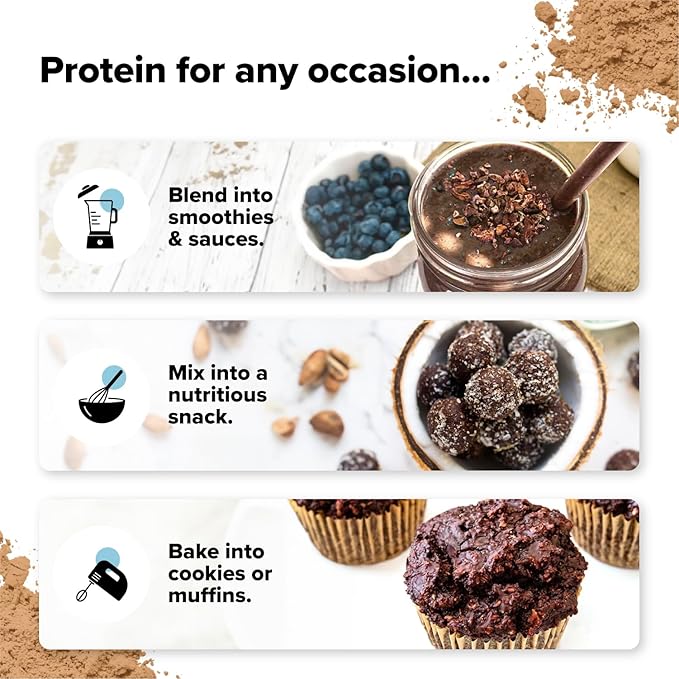 Complement Organic Chocolate Vegan Protein Powder (30 Servings) Low Carb, Low Calorie, Sugar Free