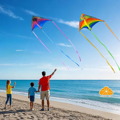 ORGCLDKT-Rainbow Cruiser Delta Kite, Kites for Kids Ages 8-12,4-8,Boys,Girls,Kites for