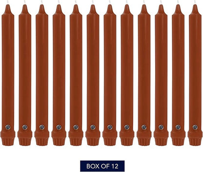 Colonial Candle Unscented Taper Candle, Classic Collection, Amber, 10 in, Pack of 12 - Up to 8