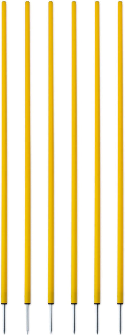 Champion Sports Coaching Sticks