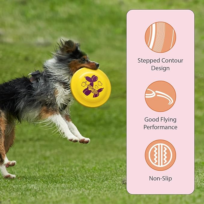 Wham-O Frisbee Fastback Flying Disc, 9.35 Inch Dog-Friendly Lightweight Sports Disc Toy for Outdoor