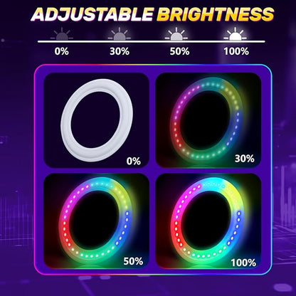 Amarlozn Light up Flying Ring Disc Toy for Kids Adults, 10" Rechargeable 12 Dynamic Modes Glow in