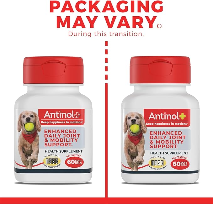 Plus, Mobility, Hip, and Joint Supplement for Dogs, Green-Lipped Mussels and Krill Oil - Dog Joint