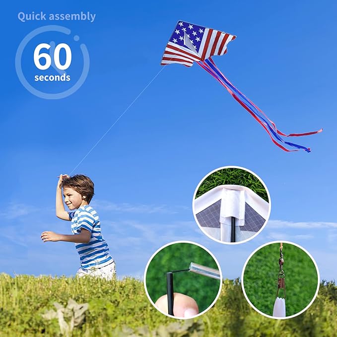 Delta Kite for Kids & Adults - Easy to Fly Large Single Line Beach Kite with 300ft String Handle