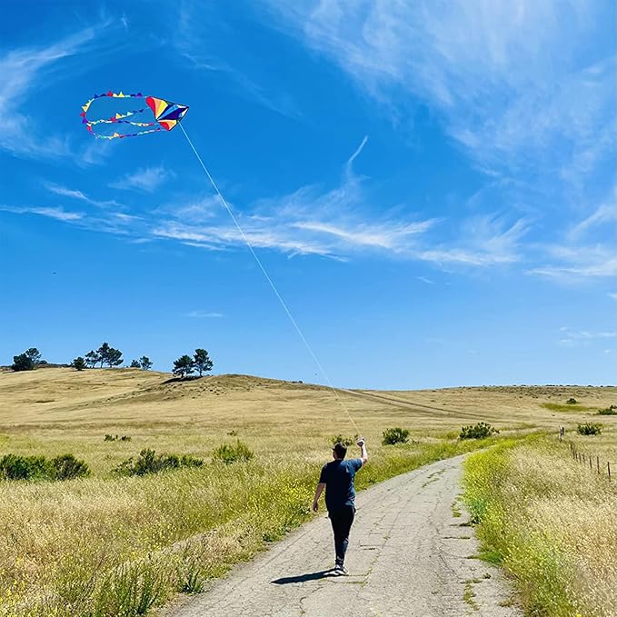 HONBO Large Delta Kite for Kids & Adults,Extremely Easy to Fly Kite for Beach Trip,String Line
