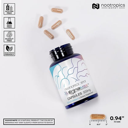 Nootropics Depot Erinamax Lion's Mane 500mg Capsules | Liquid Culture Mycelium | 2.5mg Erinacine A