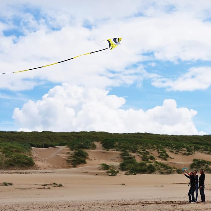 Delta Kite for Kids & Adults - Easy to Fly Large Single Line Beach Kite with 300ft String Handle
