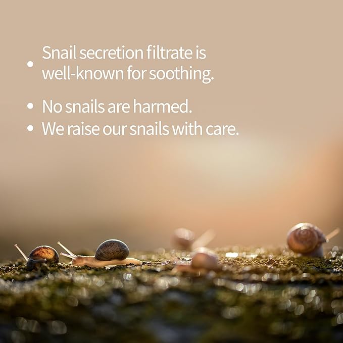 BENTON Snail Bee High Content Mask Pack (20g / 10 Sheets) - Snail Mucin Face Mask With Bee Venom |
