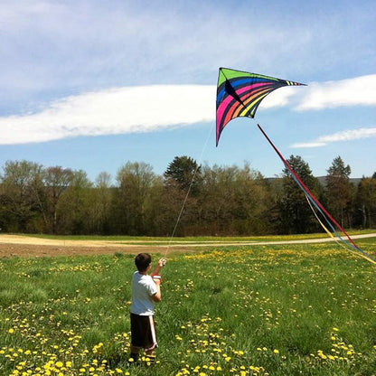 Mint's Colorful Life Delta Kite for Kids & Adults, Extremely Easy to Fly Kite, Best Kites for