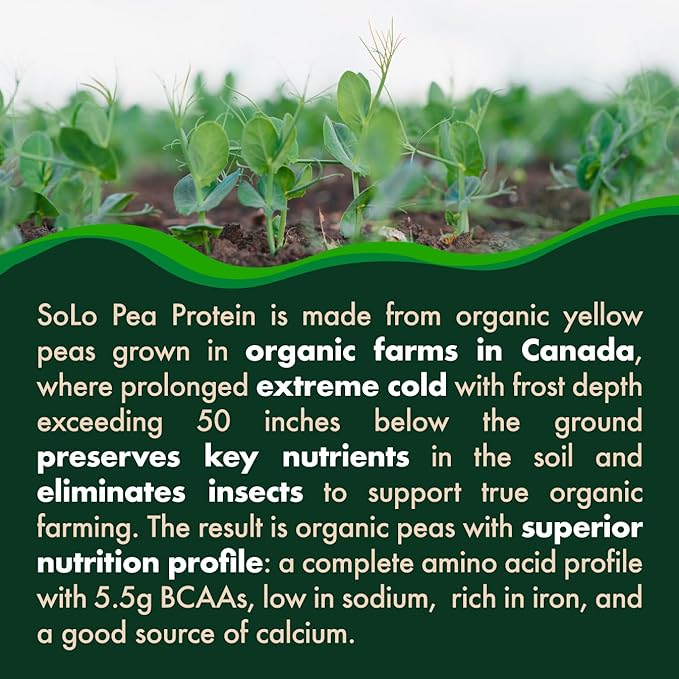 Solo Organic Pea Protein Isolate, Low in Sodium, Canada Grown Peas, 100% Vegan, Non-GMO, Unflavored