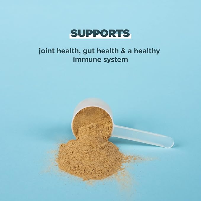 Ancient Nutrition Protein Powder Made from Real Bone Broth, Chocolate, 20g Protein Per Serving, 20