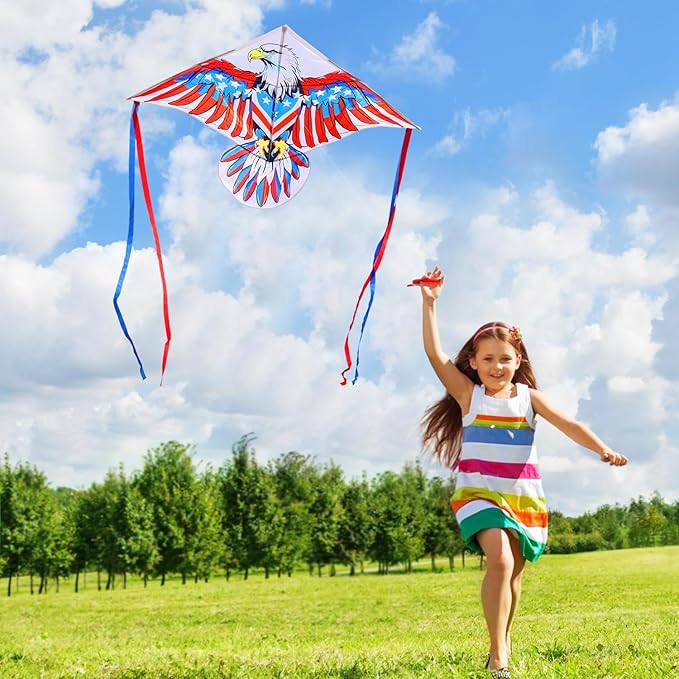 HONBO Eagle Kite, America Flag Kite for Kids and Adults. Wonderful Beginner Kite for Boys and