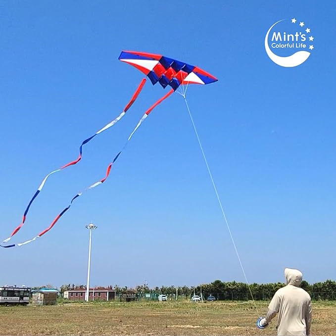 Beach Kites for Adults Large with Long Tail, 98 inches Super Easy Flyer 3D Rainbow Box Kites, Comes