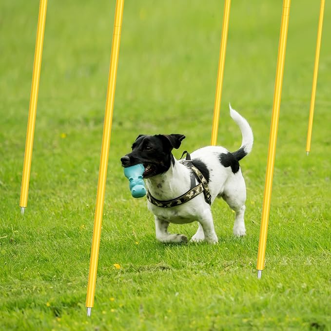Blulu Training Agility Poles 5ft Forza Slalom Adjustable Soccer Training Poles Soccer Sticks