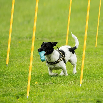 Blulu Training Agility Poles 5ft Forza Slalom Adjustable Soccer Training Poles Soccer Sticks