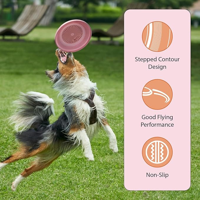 Wham-O Frisbee Fastback Flying Disc, 9.35 Inch Dog-Friendly Lightweight Sports Disc Toy for Outdoor