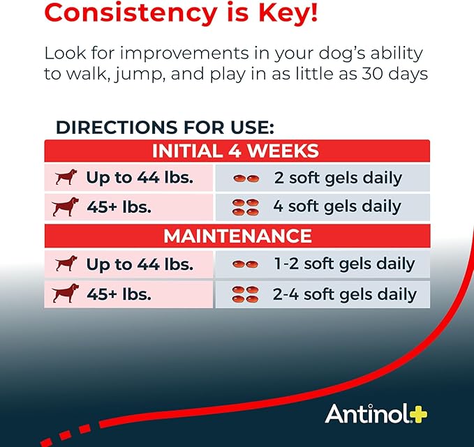 Plus, Mobility, Hip, and Joint Supplement for Dogs, Green-Lipped Mussels and Krill Oil - Dog Joint