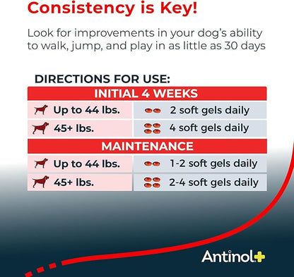 Plus, Mobility, Hip, and Joint Supplement for Dogs, Green-Lipped Mussels and Krill Oil - Dog Joint