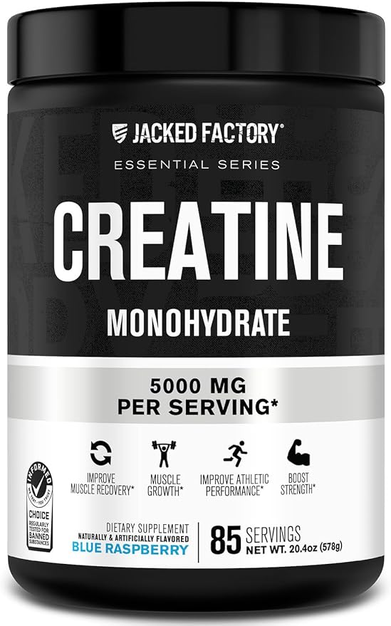 Jacked Factory Creatine Monohydrate Powder 425g - 5g Daily Creatine Supplement for Men and Women