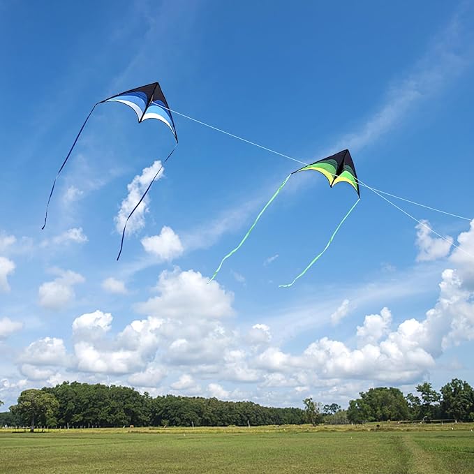 Mint's Colorful Life Delta Kite for Kids & Adults, Extremely Easy to Fly Kite, Best Kites for