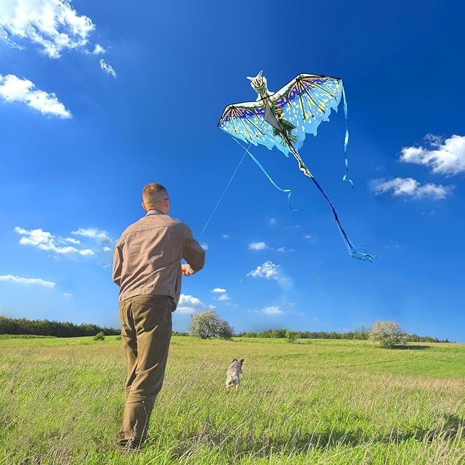 Mint's Colorful Life Dragon Kite for Kids & Adults, Easy to Fly Best Beach Kites for Beginners