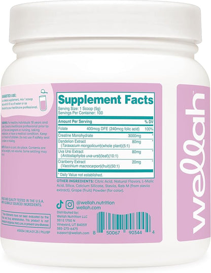 Wellah Pump-It-Up Creatine (100 Servings, Blueberry Pomegranate) - Creatine Monohydrate with