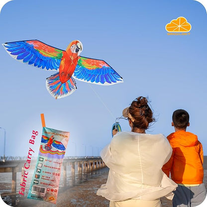 ORGCLDKT- 3D Lifelike Style Bird/Eagle Kite, Super Easy to Fly with, Ideal for Kids, Adults, Girls