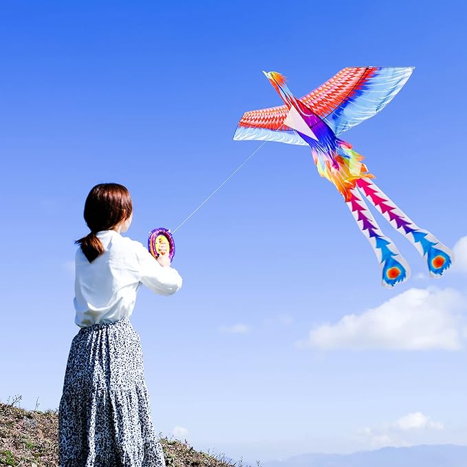 Mint’s Colorful Life Large Kite for Kids and Adults, Easy to Fly Single Line Beach Kites, Comes