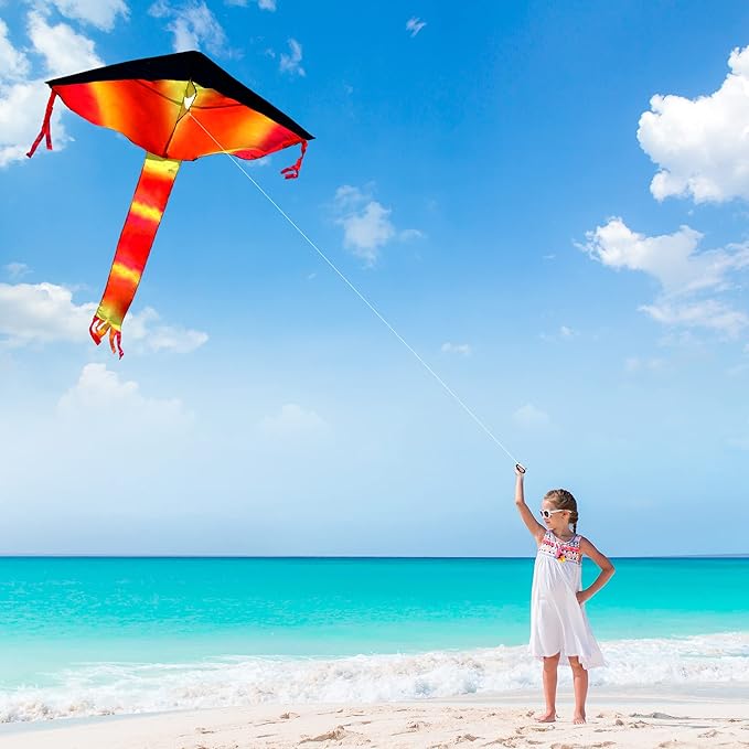 JOYIN 3 Packs Delta Multicolor Kite Warm and Cold Color Easy to Fly for Kids and Adults with 262.5