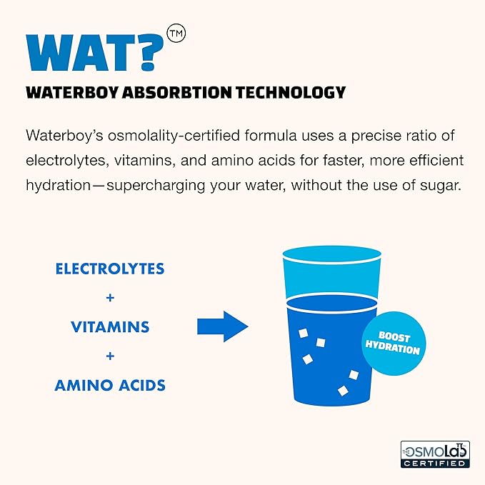 Waterboy Weekend Recovery | 3,200mg Electrolyte Powder Packets | Ginger + L-Theanine + Vitamins |