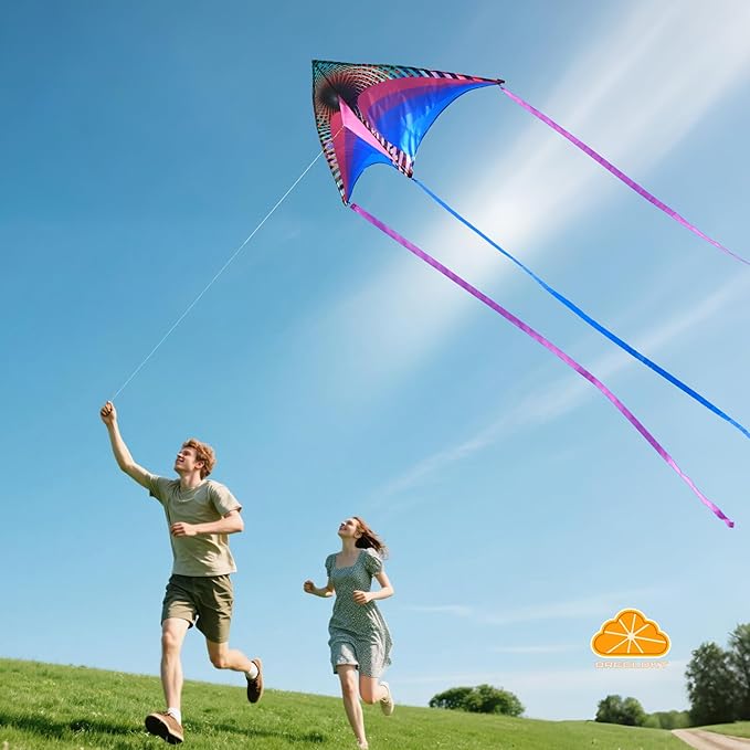 ORGCLDKT-Rainbow Cruiser Delta Kite, Kites for Kids Ages 8-12,4-8,Boys,Girls,Kites for