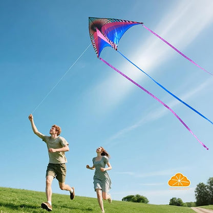 ORGCLDKT-Rainbow Cruiser Delta Kite, Kites for Kids Ages 8-12,4-8,Boys,Girls,Kites for