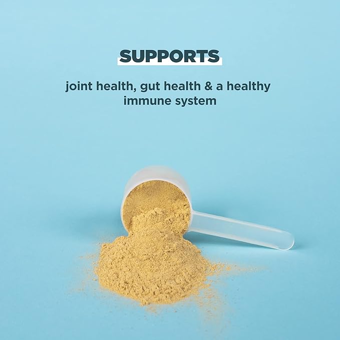 Ancient Nutrition Grass Fed, Bone Broth Protein Powder, 20g Protein, Hydrolyzed Collagen Peptides