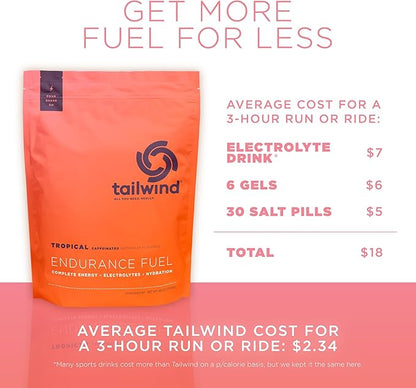 Tailwind Nutrition Endurance Fuel, Carbohydrate & Electrolyte Sports Drink Mix Powder, Gluten-Free