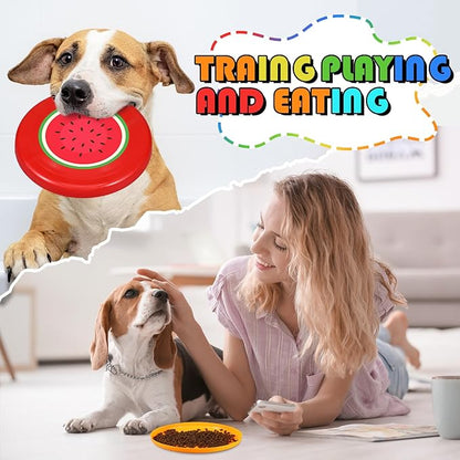 10 Pack Flying Disc Disk Flyer Disc Outdoor Training Interactive Flying Discs Bulk for Adults Dogs