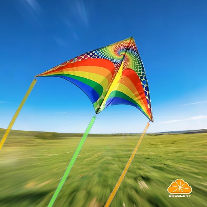 ORGCLDKT-Rainbow Cruiser Delta Kite, Kites for Kids Ages 8-12,4-8,Boys,Girls,Kites for