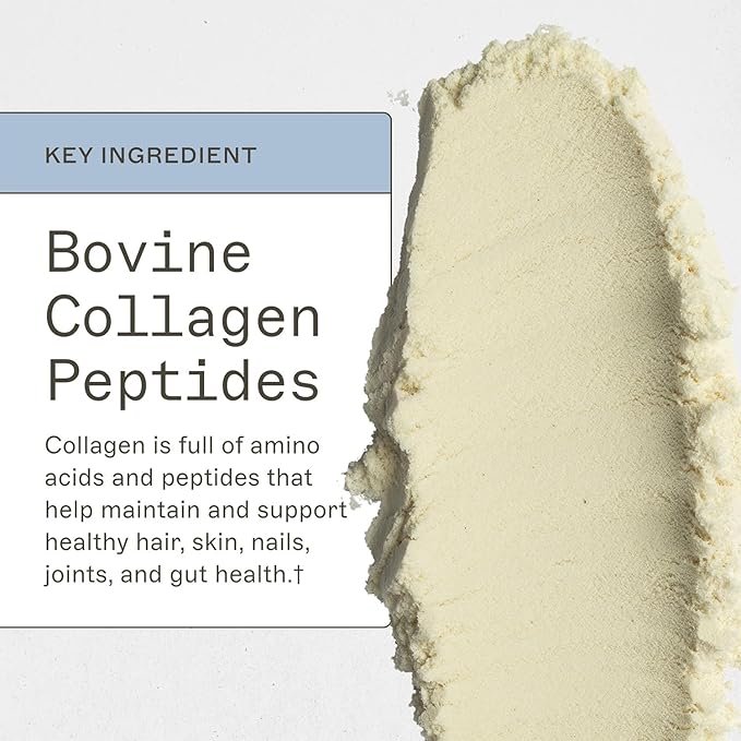 Amy Myers MD Paleo Protein Powder - with Collagen Peptides for Gut Health - Supports Hair, Skin &